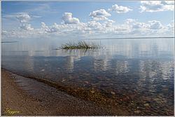 Lake Kubenskoye httpsuploadwikimediaorgwikipediacommonsthu