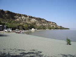 Lake Langano httpsuploadwikimediaorgwikipediacommonsthu