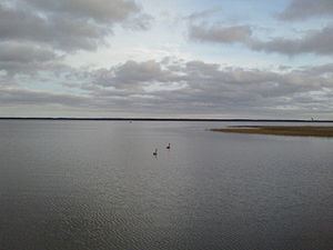 Lake Liepāja httpsuploadwikimediaorgwikipediacommonsthu