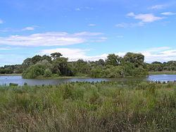 Lake Lorne httpsuploadwikimediaorgwikipediacommonsthu
