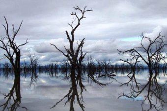 Lake Mokoan Farmers protest over Lake Mokoan39s future ABC News Australian