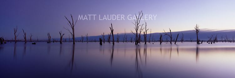 Lake Mulwala Lake Mulwala Sunrise Photo The Murray River Images NSW Vic Border