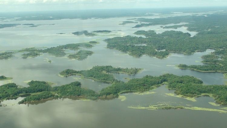 Lake Murray (Papua New Guinea) wwwgenesisparkcomwpcontentuploads201501Lak