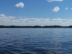 Lake Muskoka httpsuploadwikimediaorgwikipediacommonsthu