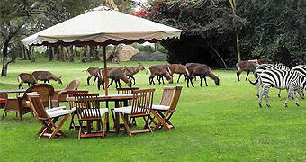 Lake Naivasha Country Club Lake Naivasha Country Club Naivasha Hotels Accommodation Kenya