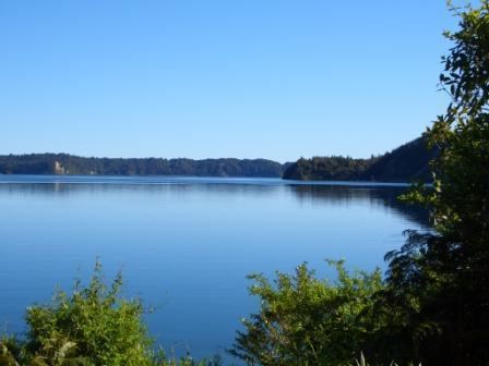 Lake Rotoma wwwlakerotomacomBoat20trip20056jpg