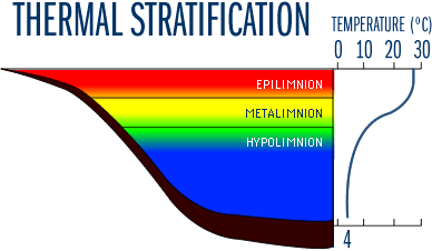 Lake stratification Lake Ecology Density Stratification