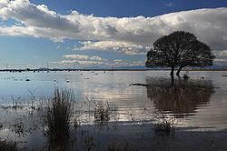 Lake Vistonida httpsuploadwikimediaorgwikipediacommonsthu