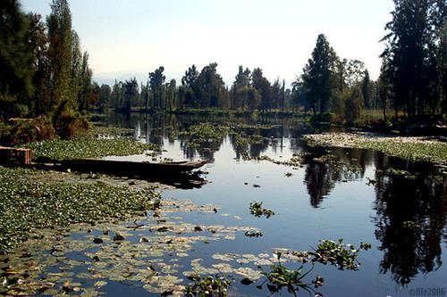 Lake Xochimilco httpsc1staticflickrcom112231159074084ec5b