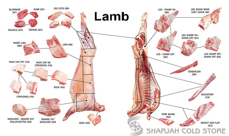 Lamb and mutton Lamb amp Mutton Cuts Sharjah Cold Store