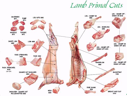 Lamb and mutton Welcome to Ahmed Al Ali Trading Dubai United Arab Emirates