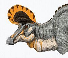 Lambeosaurus httpsuploadwikimediaorgwikipediacommonsthu