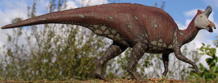 Lambeosaurus Lambeosaurus Facts and Pictures