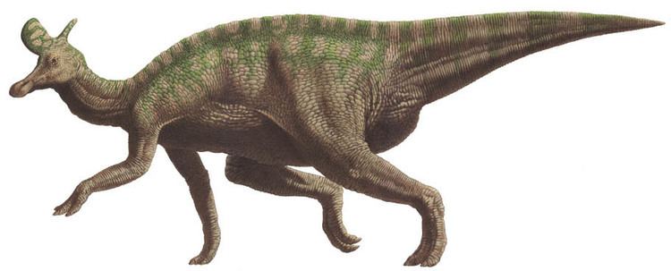 Lambeosaurus Lambeosaurus Sauropedia