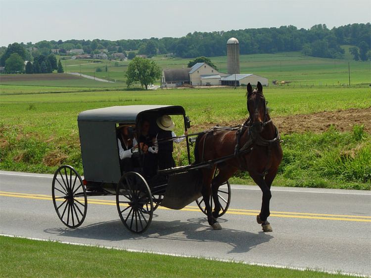 Lancaster Amish affiliation