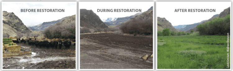 Land restoration Wallowa Canyonlands Partnership uses a sciencebased approach for