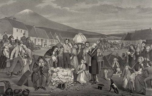 Land War Lurgan Ancestry The Irish Land War