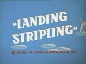 Landing Stripling movie poster