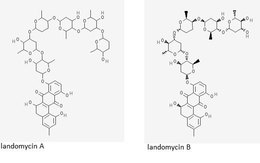 Landomycin