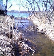 Langdon Bay Creek