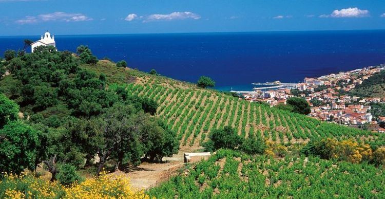 Languedoc-Roussillon wine httpswwwwineristcomimagessizedimagesuploa