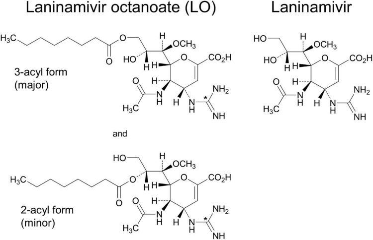 Laninamivir Pharmacokinetic Mechanism Involved in the Prolonged High Retention
