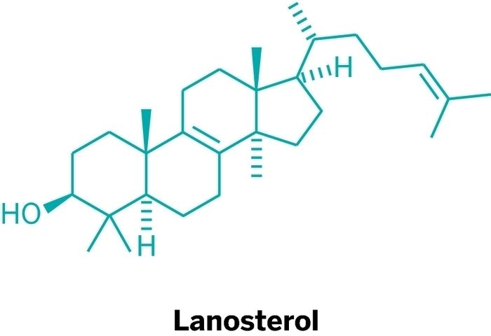 Lanosterol Cholesterollike Molecule Suggested As Possible Cataract Treatment