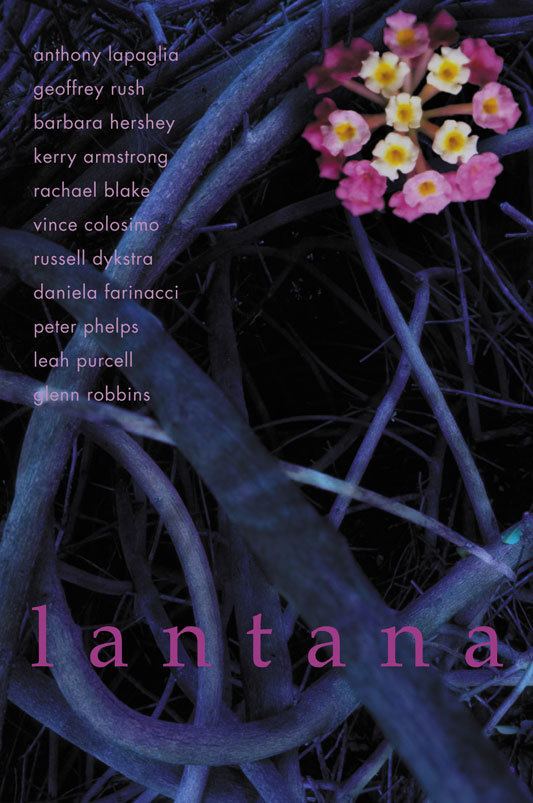 Lantana (film) Lantana Official Site Palace Films