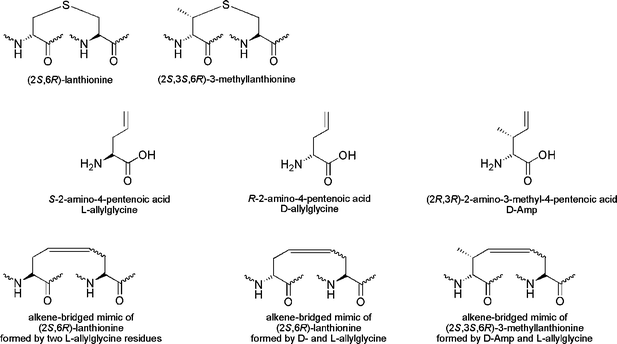 Lanthionine Stepwise and preorganization induced synthesis of a crossed alkene