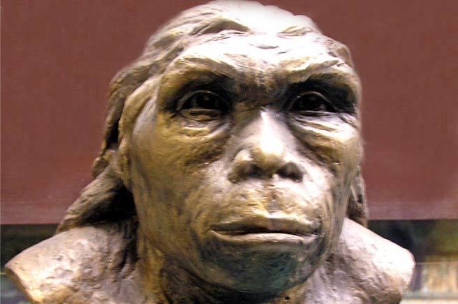 Lantian Man New dating of Homo erectus skull reclassifies Lantian Man as oldest