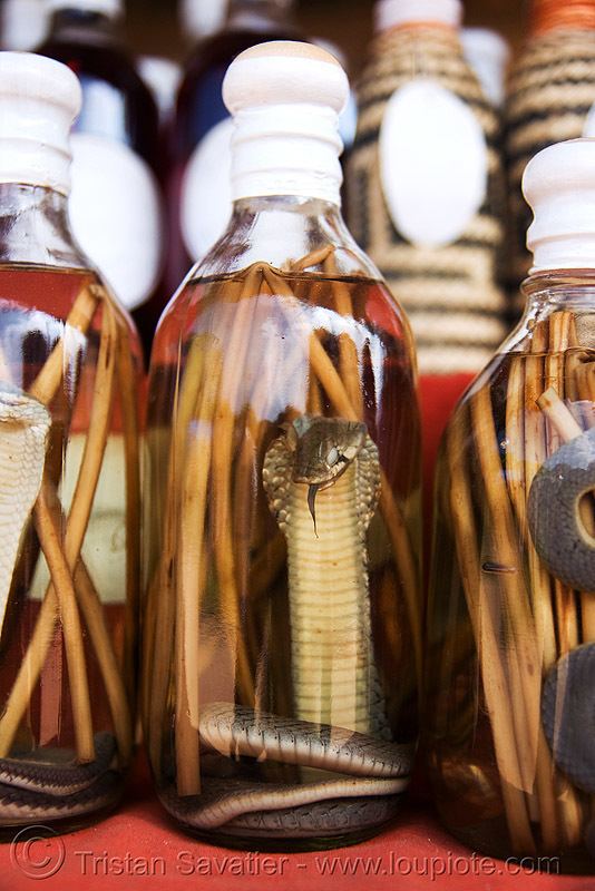 Lao-Lao snake wine cobra snake in laolao bottle