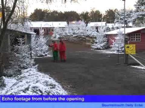 Lapland New Forest Lapland New Forest what the people say YouTube