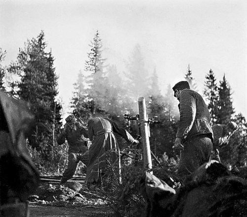 Lapland War Finnish Forces Lapland War