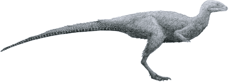 Laquintasaura Laquintasaura Wikipedia