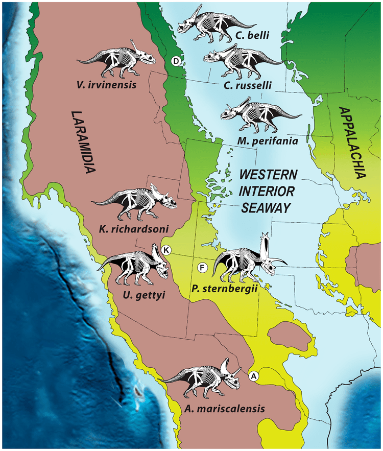 Paleogeography of North America during the Late Cretaceous, showing the biogeographic distribution of chasmosaurine ceratopsid dinosaurs