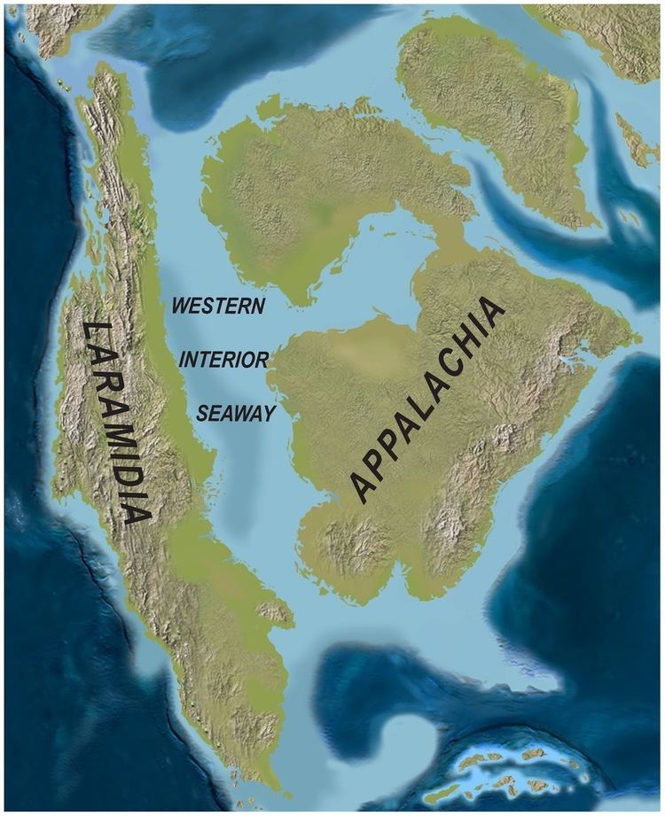 During the Late Cretaceous period, North America was two continents divided by the Western Interior Sea.