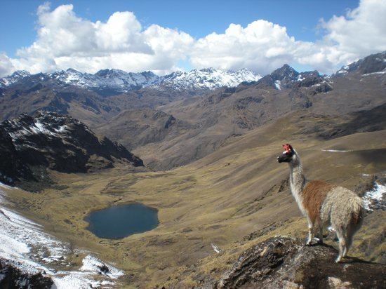Lares trek Lares Trek Sacred Valley Peru Top Tips Before You Go TripAdvisor