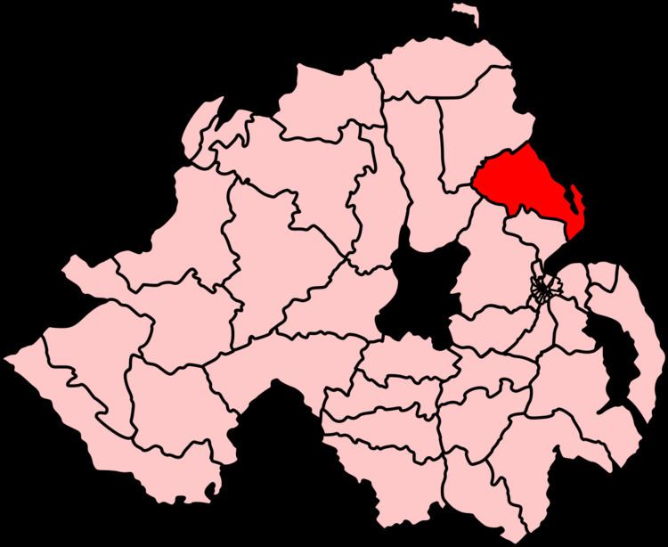 Larne (Northern Ireland Parliament constituency)
