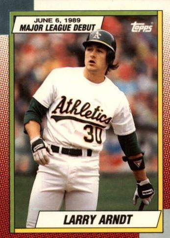 Larry Arndt Larry Arndt Baseball Statistics 19831990