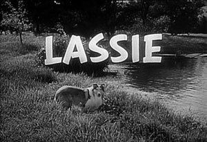 Lassie (1954 TV series) Lassie 1954 TV series Wikipedia