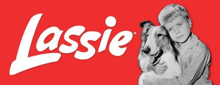 Lassie (1954 TV series) Lassie 1954 TV Show Episodes and Video Clips