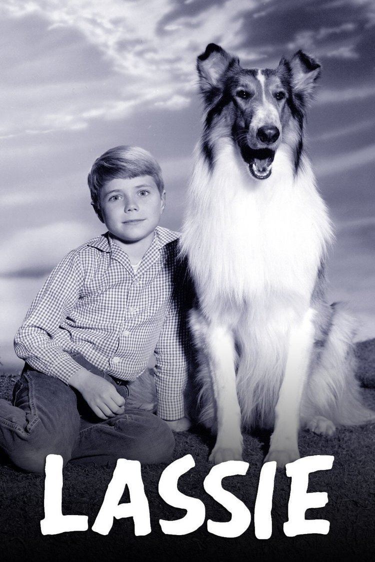 Lassie (1954 TV series) wwwgstaticcomtvthumbtvbanners184386p184386