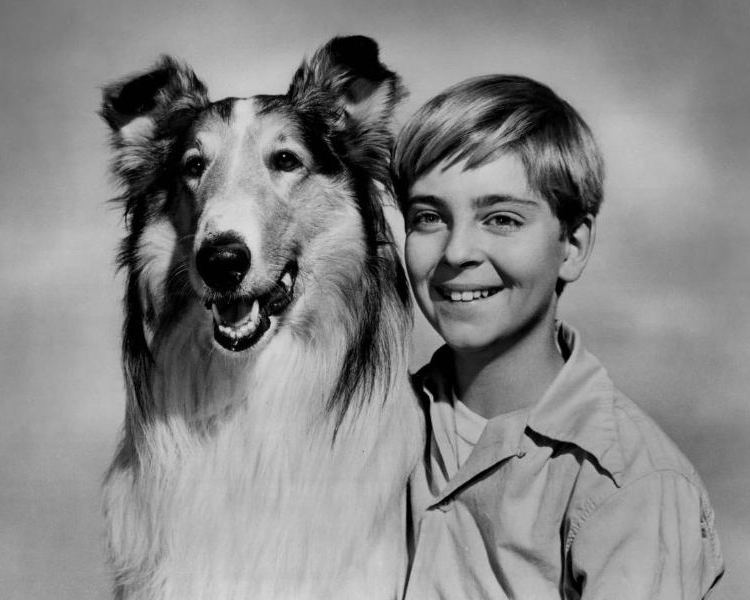 Lassie (1954 TV series) 1000 images about Lassie Come Home on Pinterest Donald o39connor