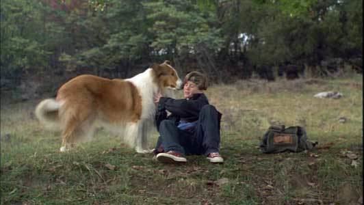 Lassie (1994 film) - Wikipedia