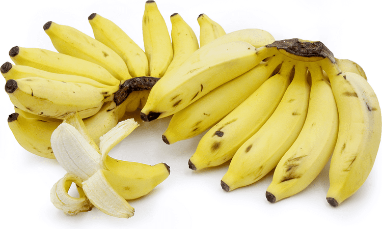 Latundan banana Apple Bananas Information Recipes and Facts