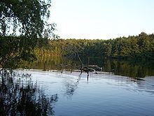 Lauenburg Lakes Nature Park httpsuploadwikimediaorgwikipediacommonsthu