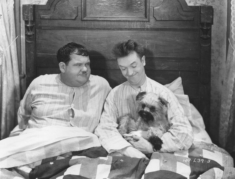 Laughing Gravy Laurel and Hardy on Twitter Laughing Gravy the dog also appeared