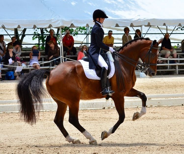 Laura Graves The Dressage Connection June 2014