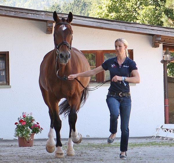 Laura Graves USA Squad of Eight Riders amp Horses Compete at Fritzens in