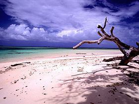 Laura, Marshall Islands httpsuploadwikimediaorgwikipediacommonsthu
